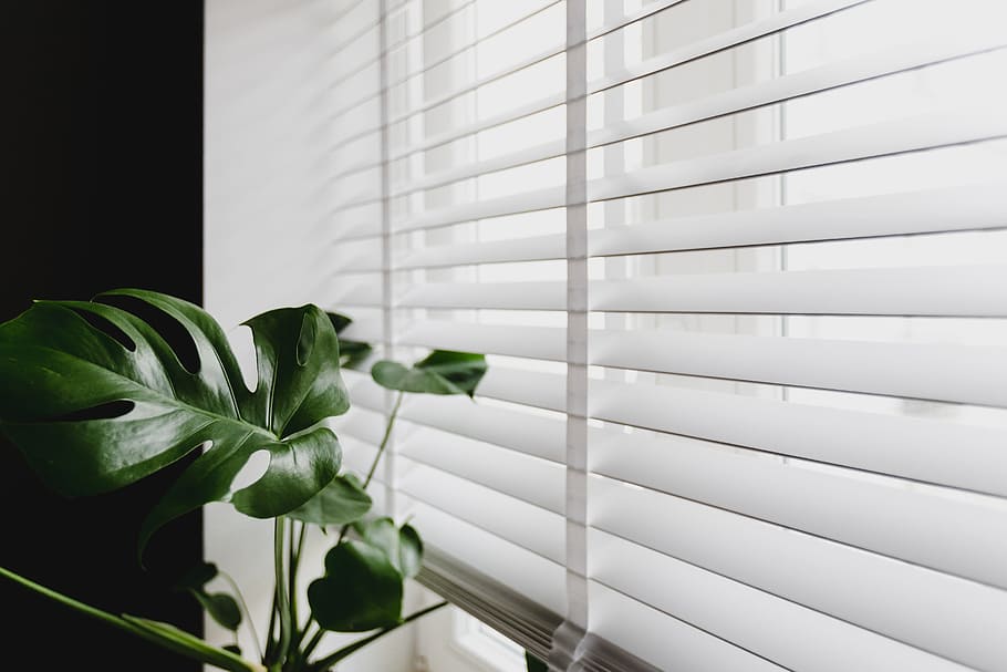Why Are Cordless Blinds in St. George So Important for Child Safety?