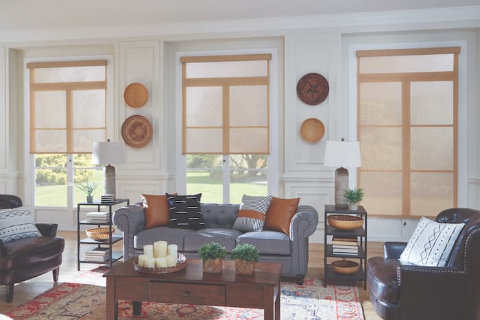 Solar Shades Living Room Signature Series-4112x2741