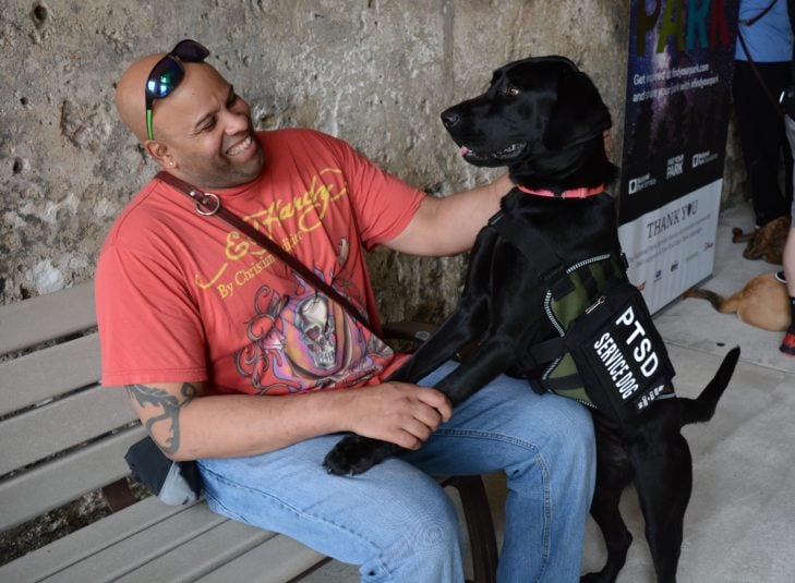 ptsd-service-dog-e1569350581565