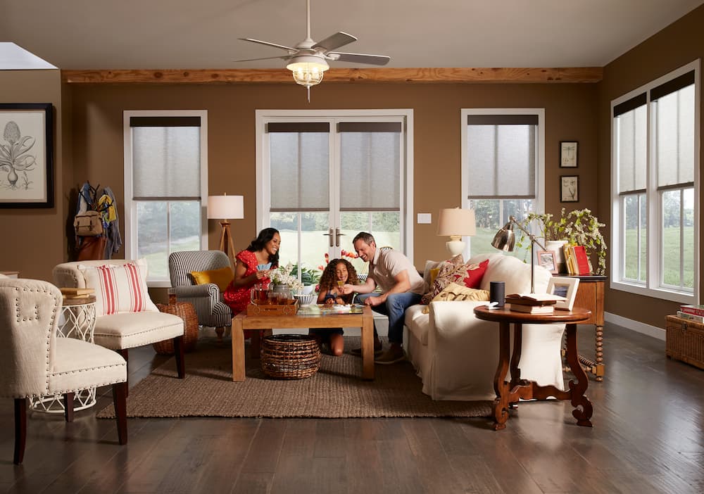 What Are Lutron Shades?