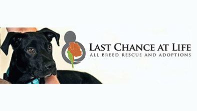 last-chance-at-life-rescue
