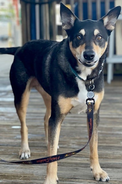 tucker website photo