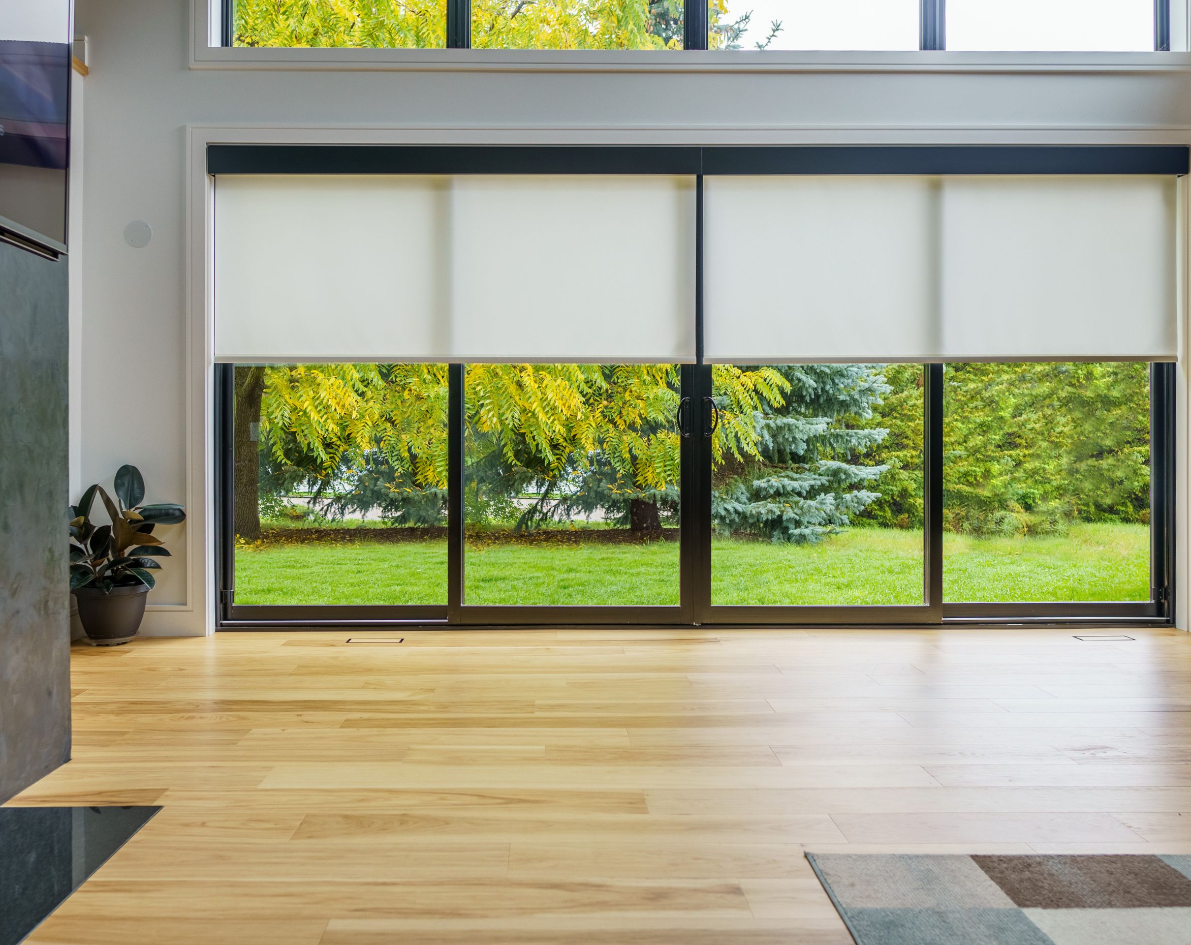 Roller Shades vs. Plantation Shutters: Which Is Right for You?  
