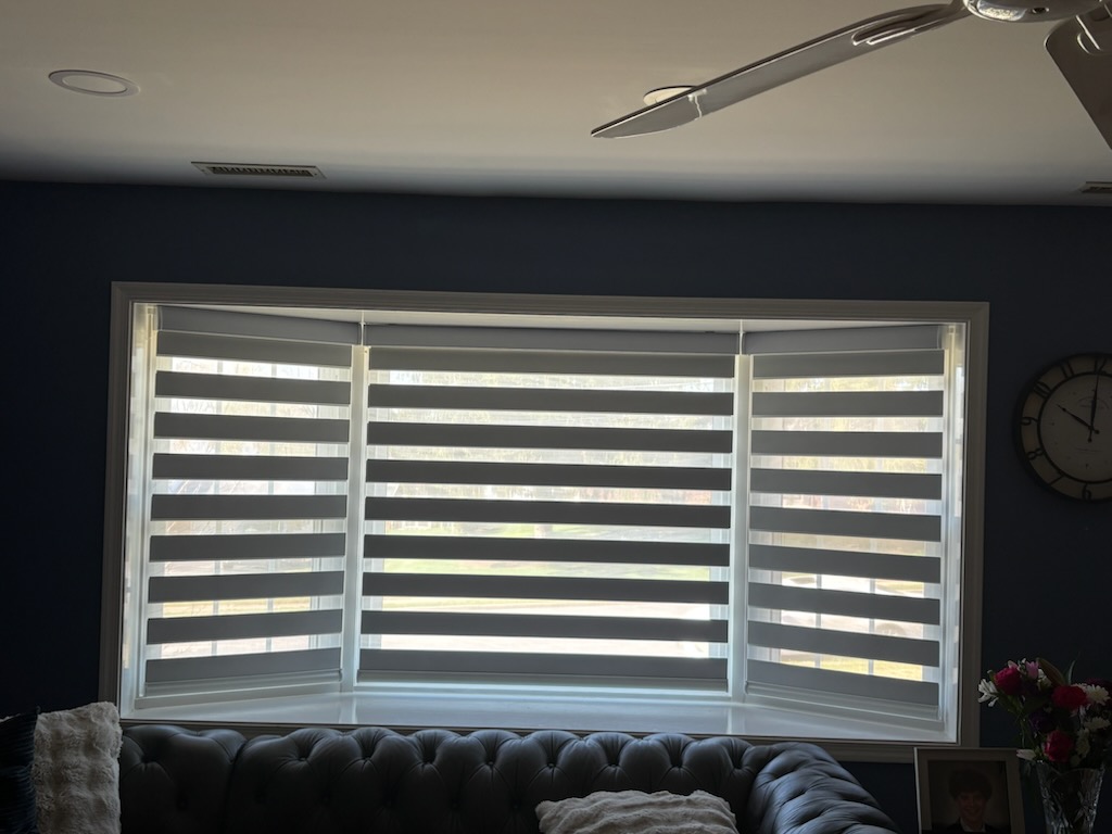 How Dual Sheer Roller Shades Transform Living Rooms with Perfect Light Control  