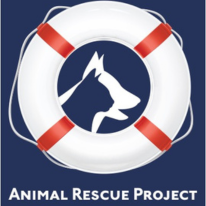 animal rescue project overlay