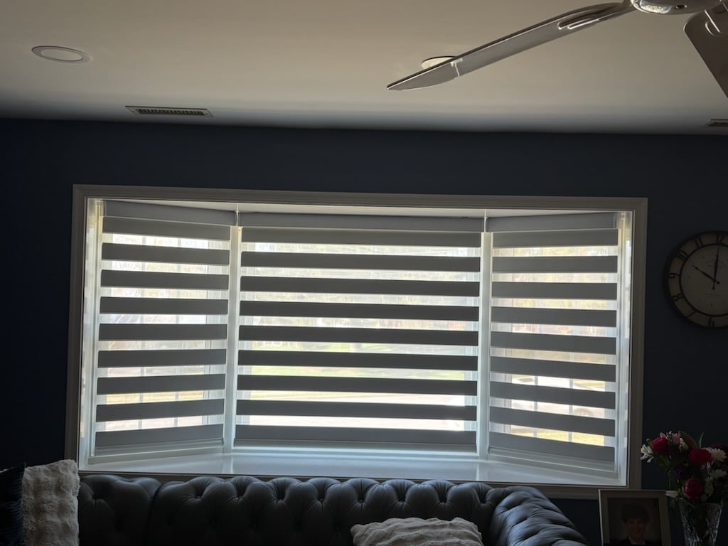 How Dual Sheer Roller Shades Transform Living Rooms with Perfect Light Control  