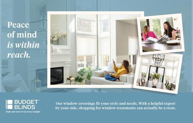 Budget Blind- Cellular Shades 