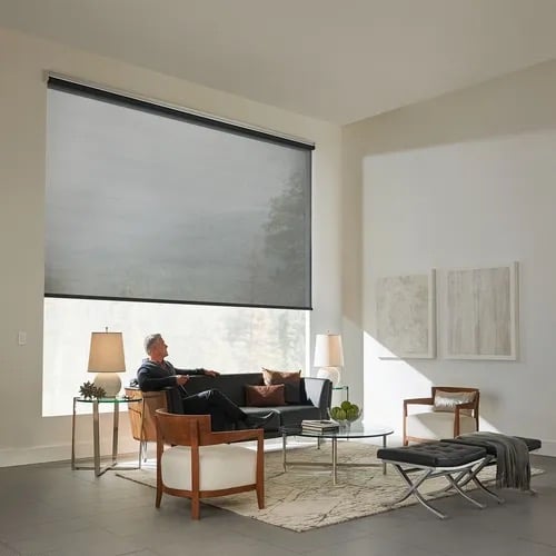 Motorized Magic: A Deep Dive into Automated Window Treatments