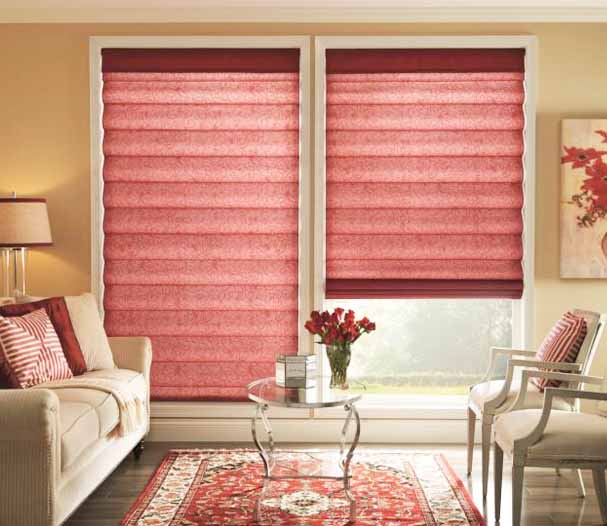 How to Deal With a Bad Outside View Roman Shades(1)