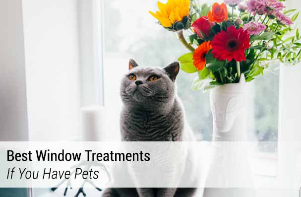 Best Window Treatments If Have Pets TOP BANNER