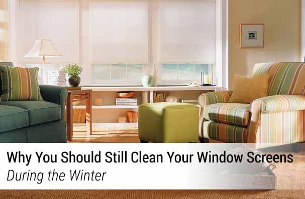Clean Your Window Screens During the Winter TOP BANNER