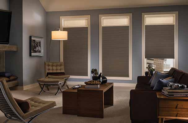 Embrace the Winter Months with Room Darkening Treatments CELLULAR SHADES