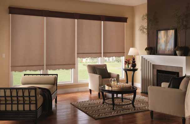 Roller Shades - Long Windows