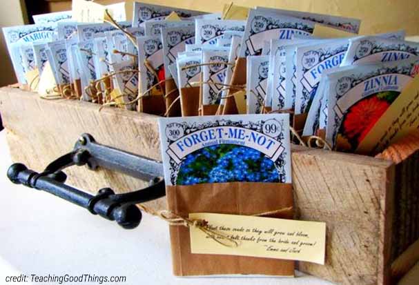 Spring Into Fresh Looks Seed Packages