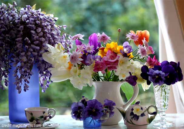 Spring Into Fresh Looks Window Flowers