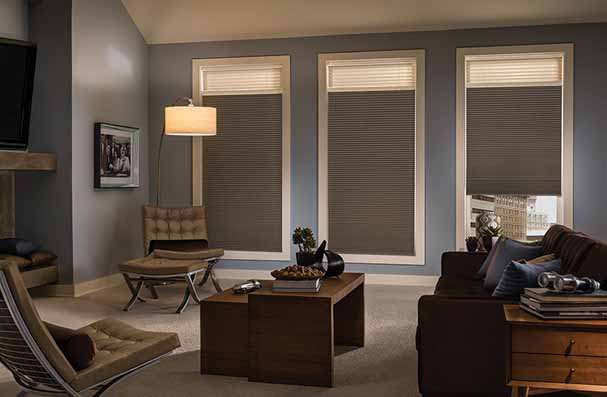 Window Treatment Sold to Keep the Sun HONEYCOMB SHADES