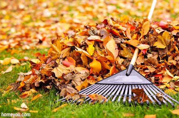 Your Autumn Home Maintenance Checklist rake leafs