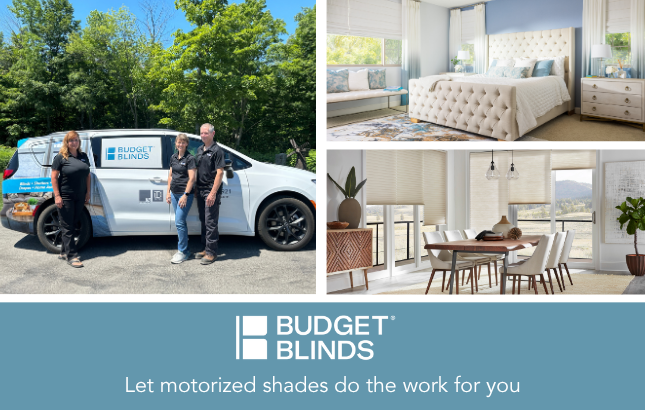 motorized cellular and roman shades
