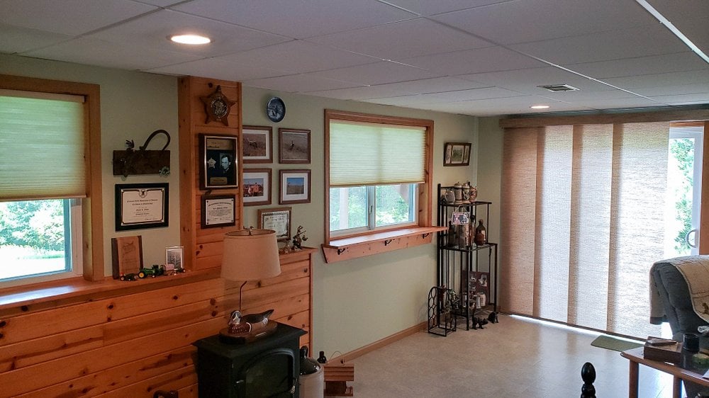 Which Type of Window Coverings in Bremerton Are Best with Pets?