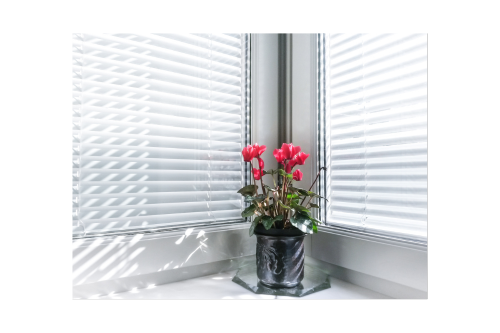How To Use Blinds In Queen Anne To Add A Unique Look To All Your Windows