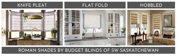 PLEAT TYPES DIAGRAM BUDGET BLINDS SASKATOON ROMANS
