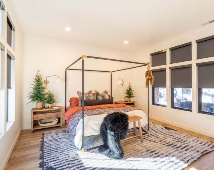 Winter Window Guide: Best Blinds & Shades for Shelton & Centralia Homes in January