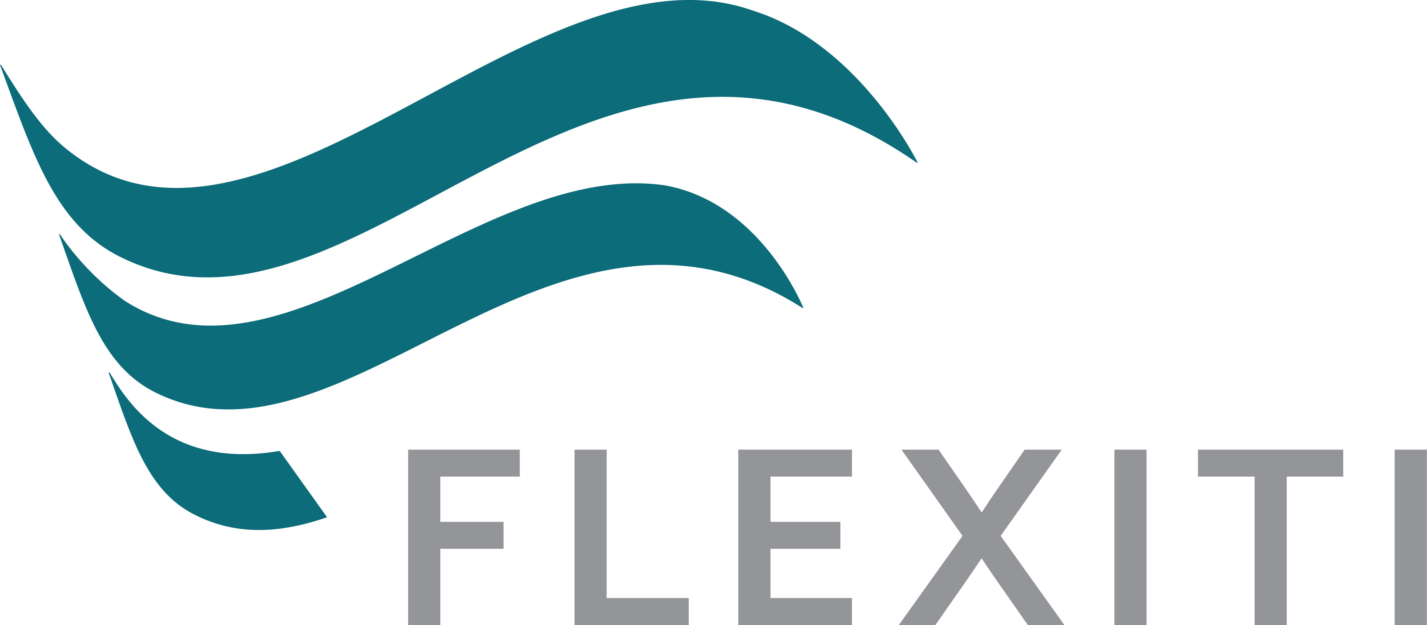 Flexiti Logo