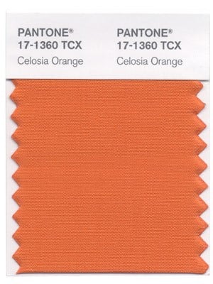 CelosiaOrange_pantone(1)