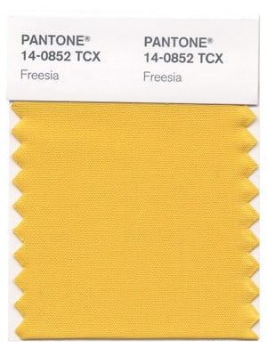 Freesia_pantone