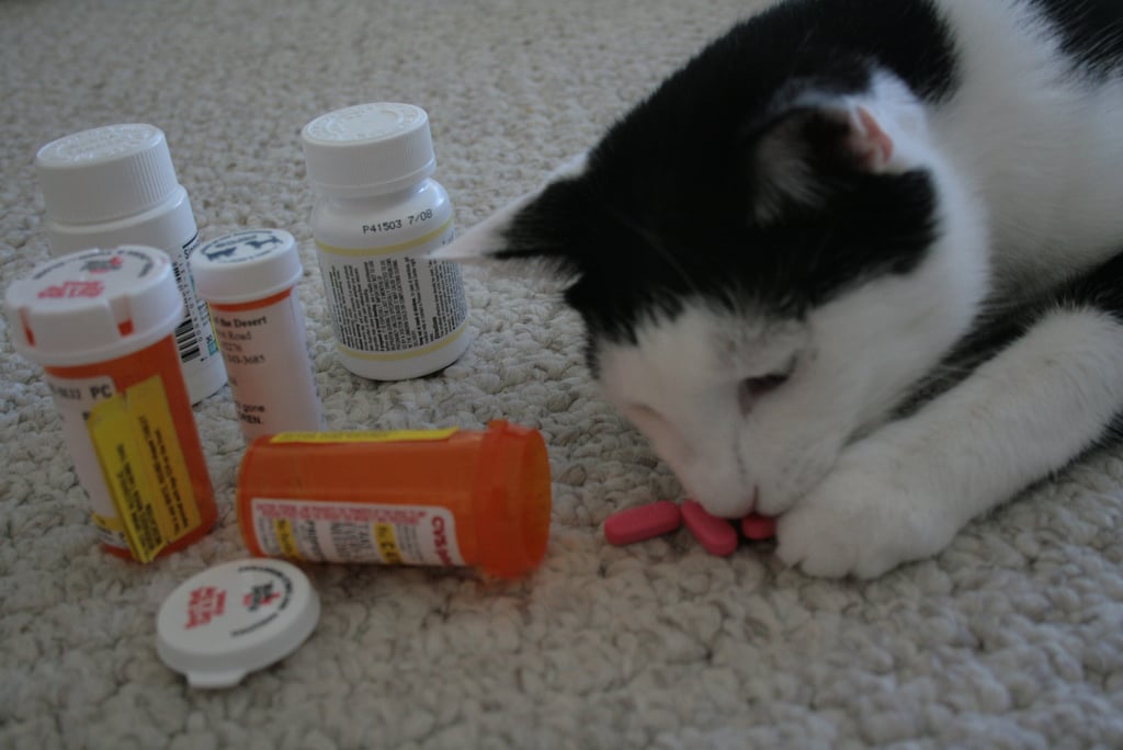 Medicine