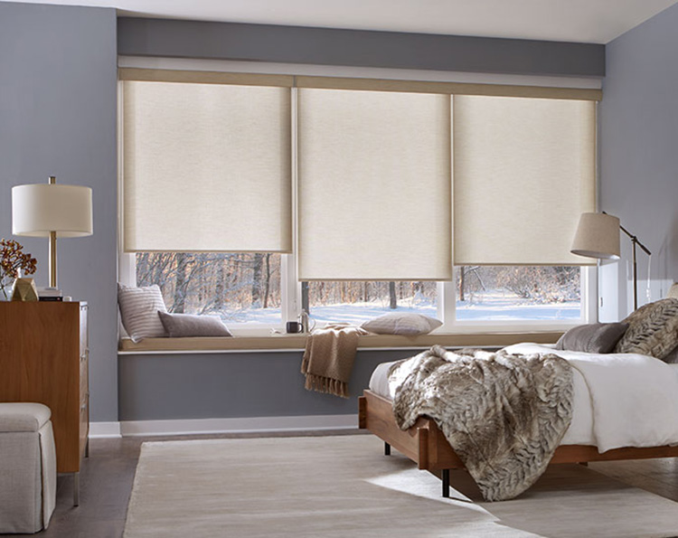 Roller Shades vs. Cellular Shades in Alexandria: Which Is the Best Option for Your Home?