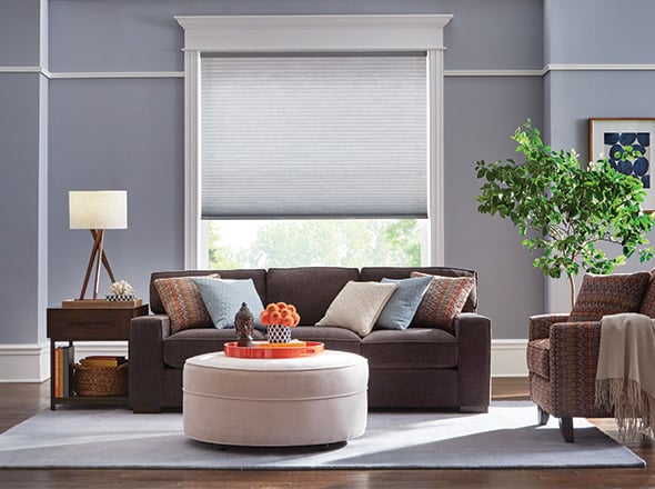 Budget Blinds blue cellular shades