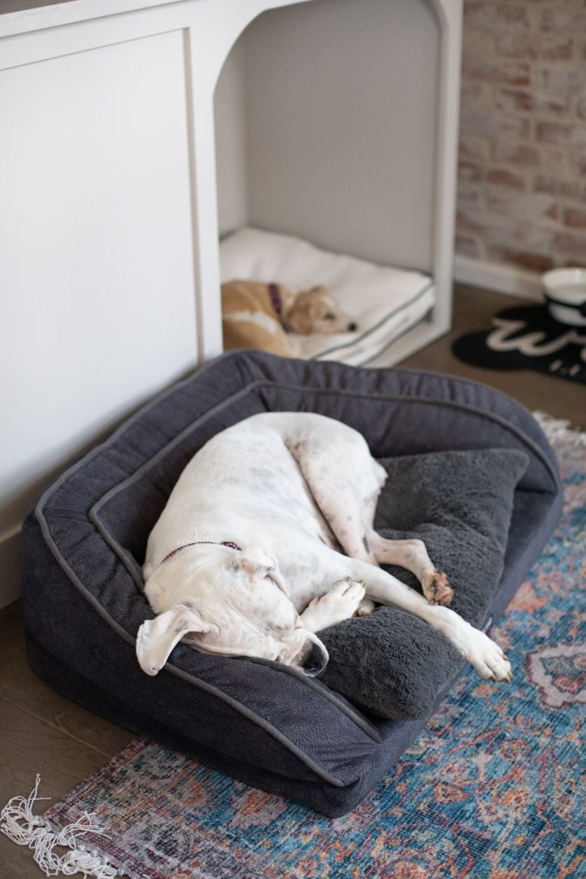 Cozy Bed for Dog