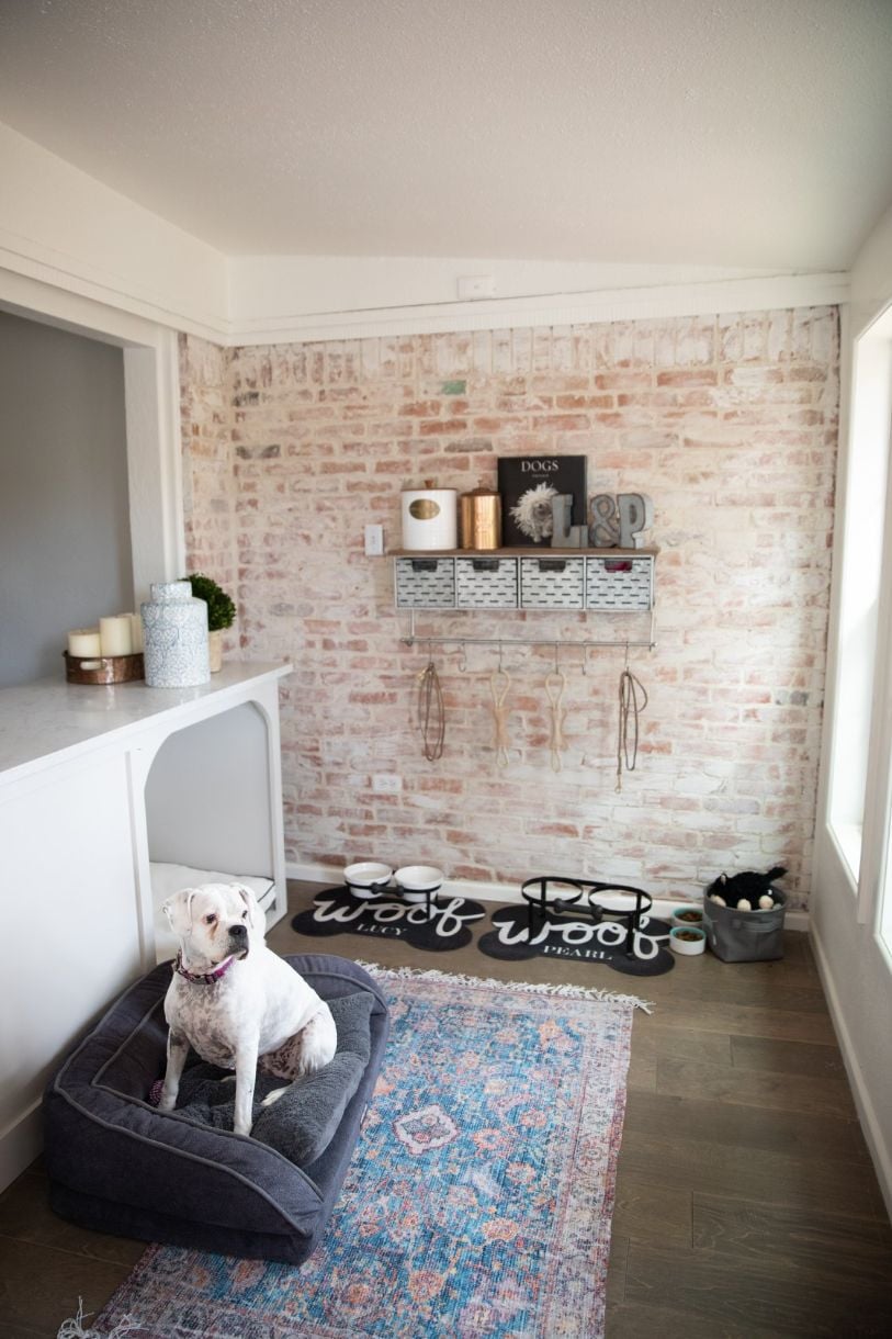 Easy-Clean Rugs for Pets