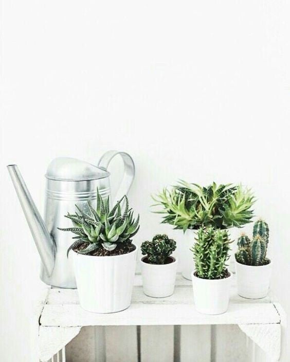 budget blinds design greenery
