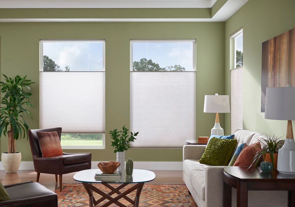 Cellular Shades in Living Room