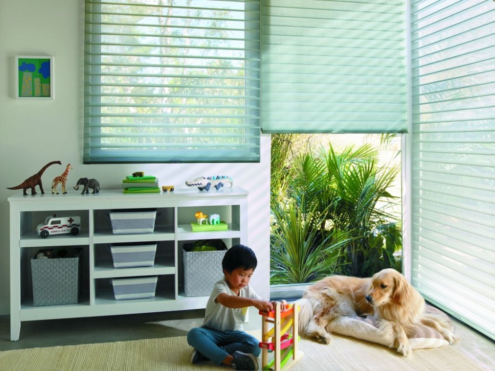Window Shadings Playroom Hunter Douglas