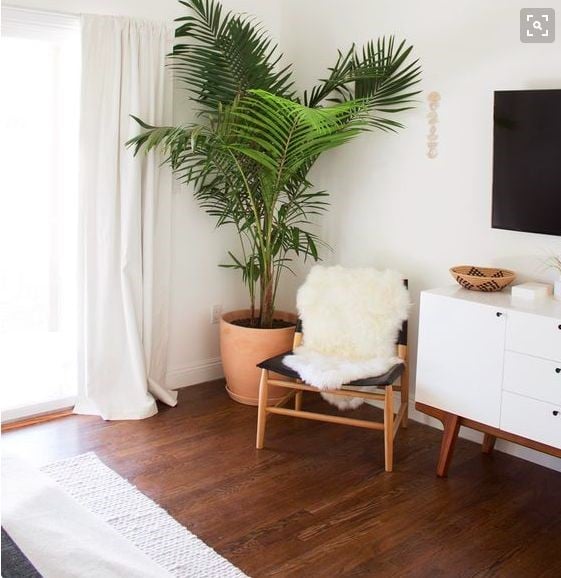 plant design for room