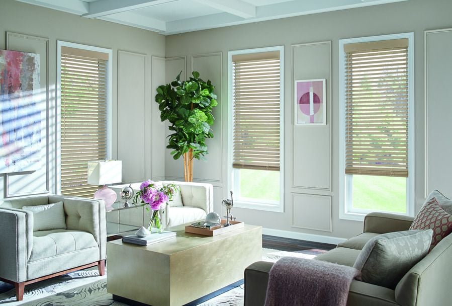 Wood Blinds in Living Room