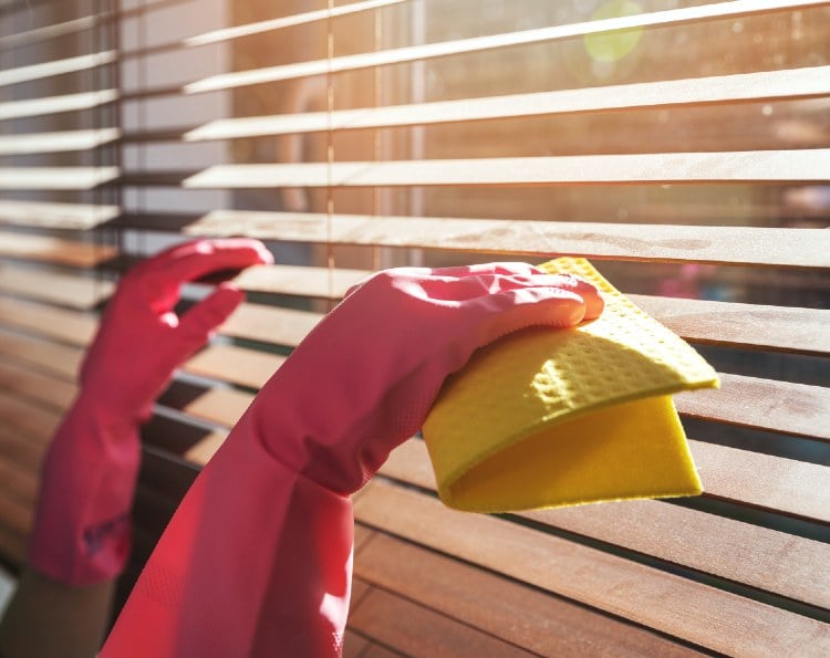 Dusting Blinds