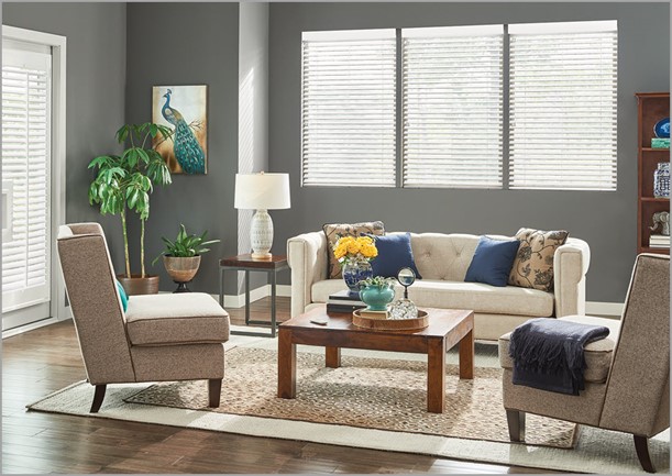 Motorized Blinds