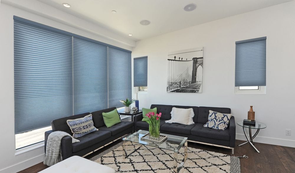 Honeycomb Shades in Living Room