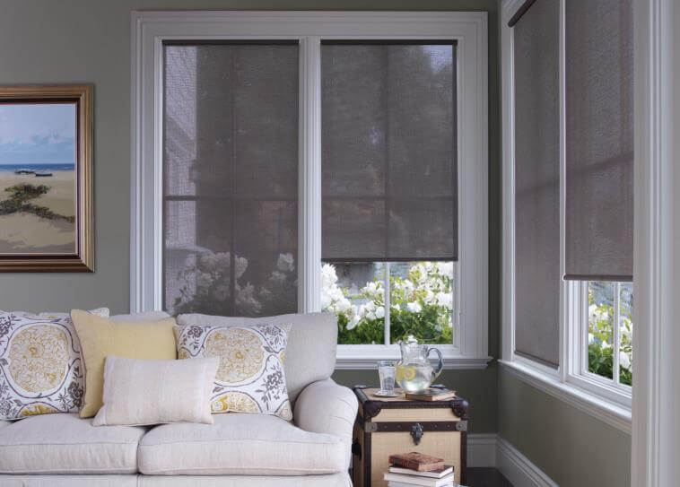 gray roller shades