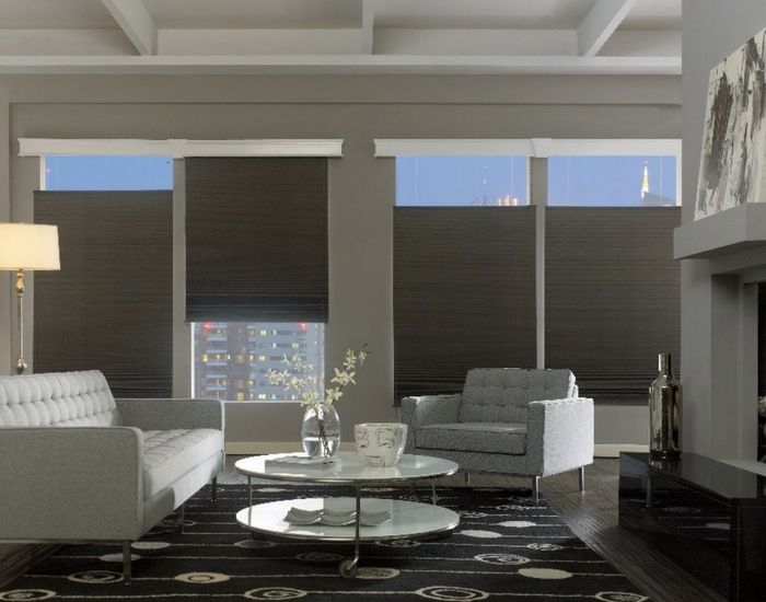 dark cellular shade living room treatment