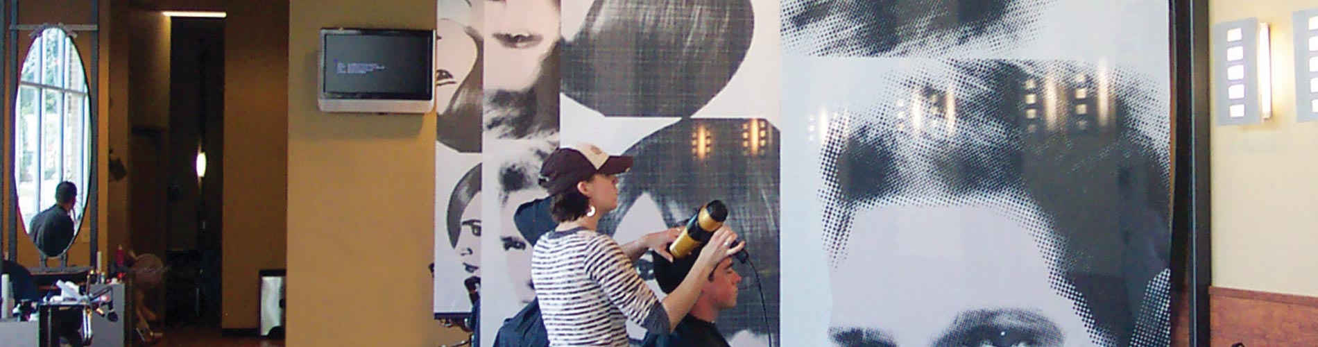 graphic-shades-in-hair-salon-desktop