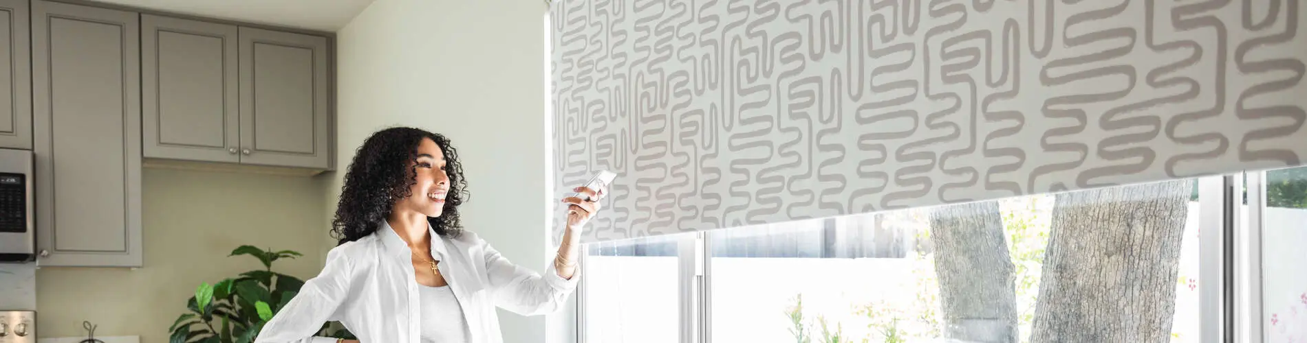 Envision Roller Shades Enlightened Style Talent with Remote (2)-1900x500 (resized)