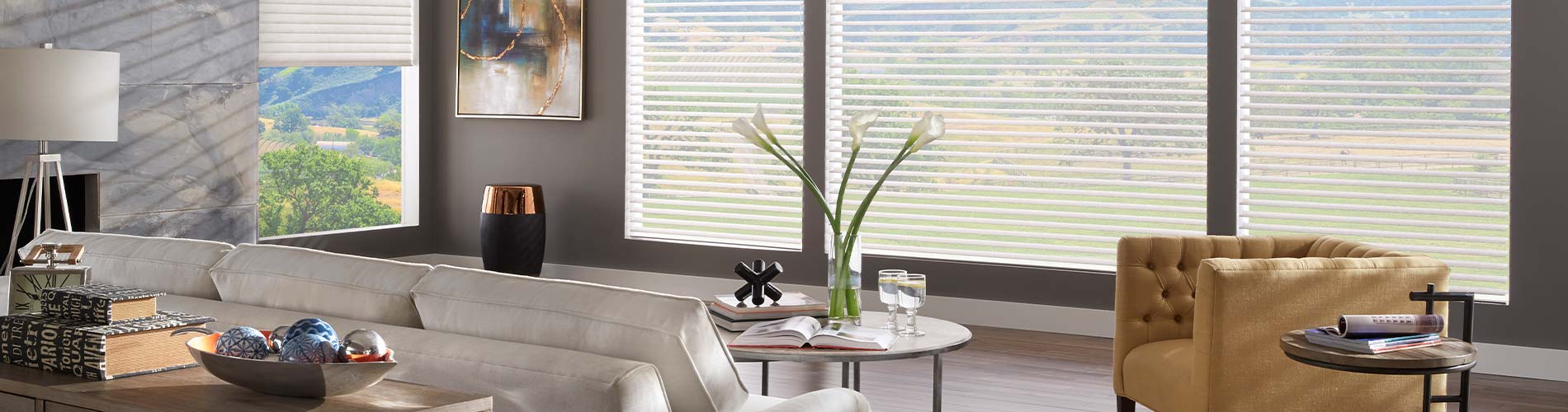 window-shadings-living-room-desktop