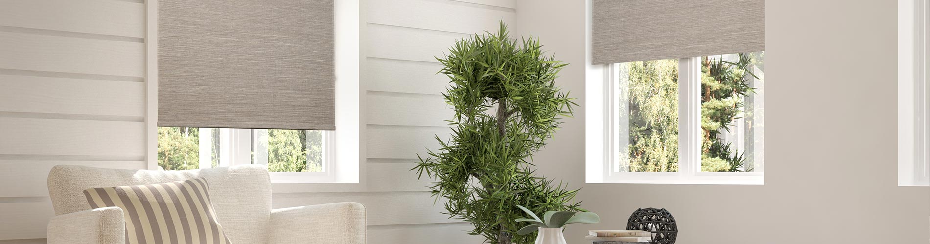 woven-shades-living-room2-desktop